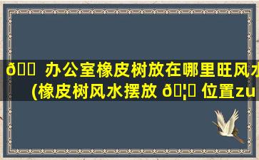 🐠 办公室橡皮树放在哪里旺风水(橡皮树风水摆放 🦆 位置zui
好)